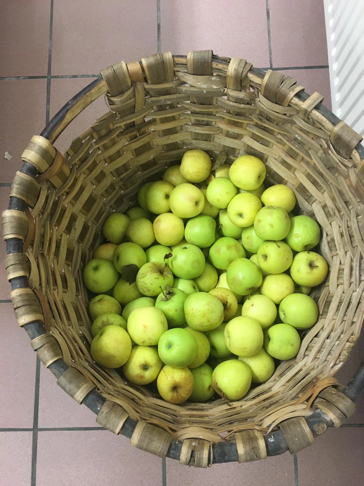 Préparer la vente de pommes 02