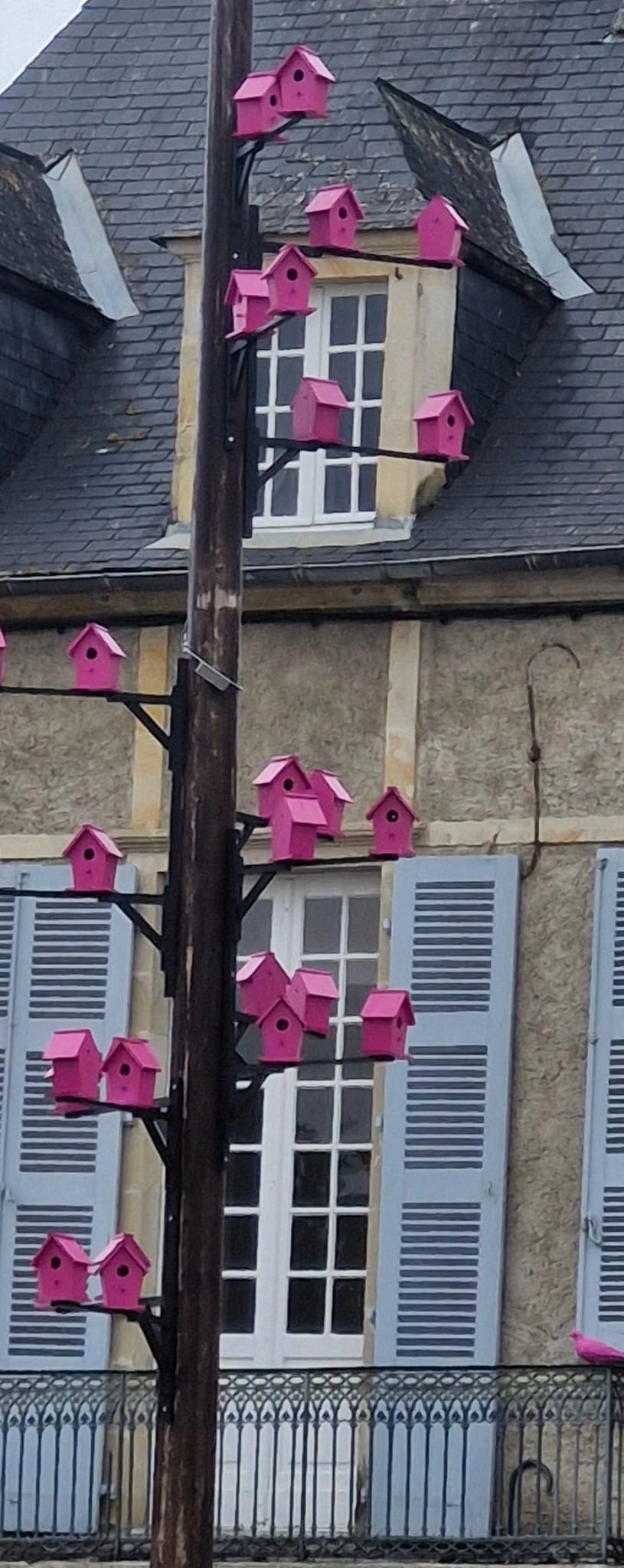 Octobre rose à Navarrenx 01