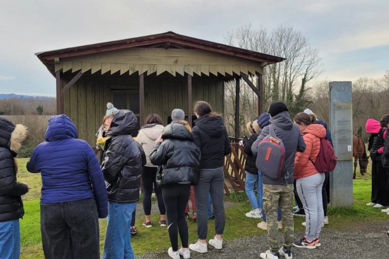 Image de fond Image de fond