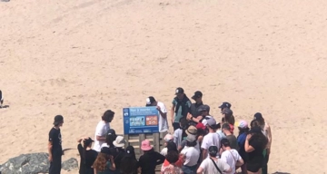 Les causes de pollution de l'océan 04