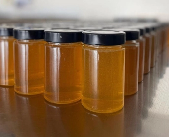 Récolte miel par les 3èmes Prépa-métiers 08