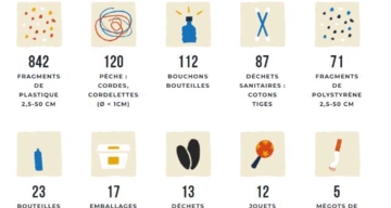 TOP 10 des objets ramassés