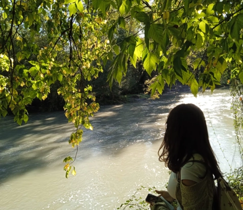 Visite de la cité médiévale 08