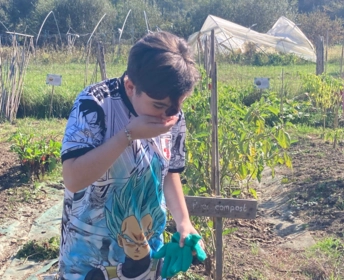 Les 3èmes Prépa-métiers à la découverte du sol vivant 15