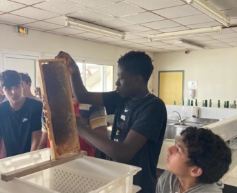 Récolte miel par les 3èmes Prépa-métiers 04