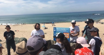 Les causes de pollution de l'océan 01