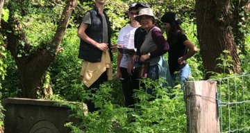 Analyse de l'eau d'une rivière 01