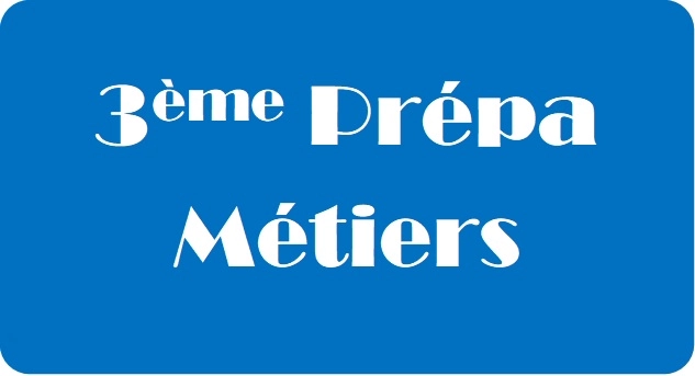 La 3ème Prépa-Métiers au lycée Notre-Dame de Sauveterre-de-Béarn