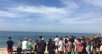 Les causes de pollution de l'océan 06