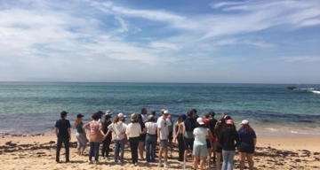 Les causes de pollution de l'océan 05