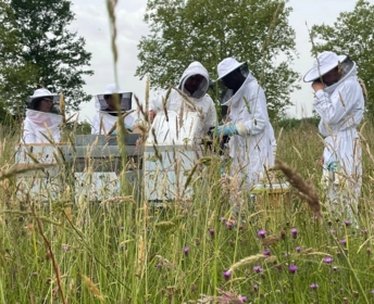 Récolte miel par les 3èmes Prépa-métiers 01