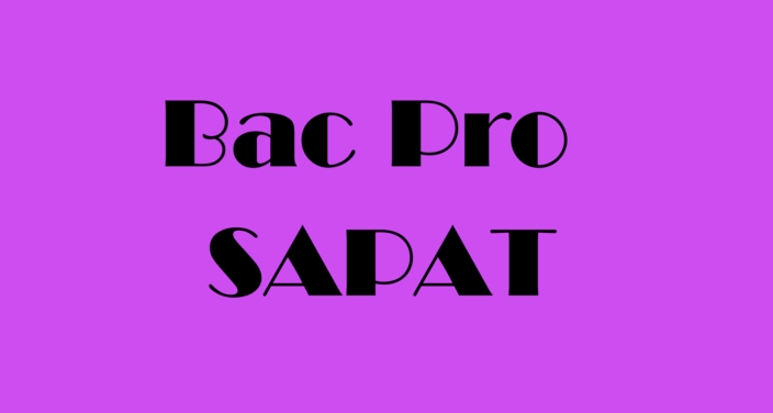 BAC PRO SAPAT