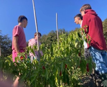 Les 3èmes Prépa-métiers à la découverte du sol vivant 08