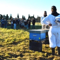 Ruches au Lycée Notre-Dame_01 Ruches au Lycée Notre-Dame_01