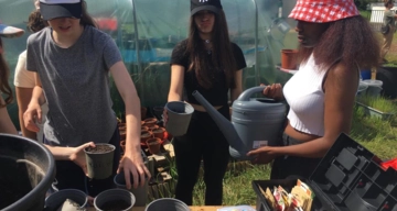 Jardins partagés 08